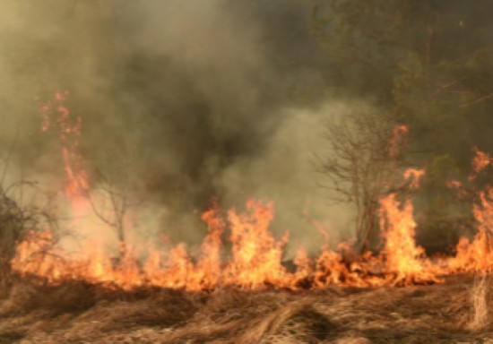 Spazio Aperto Salento