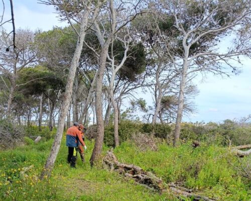 Spazio Aperto Salento