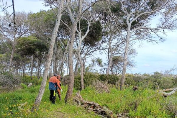 Spazio Aperto Salento