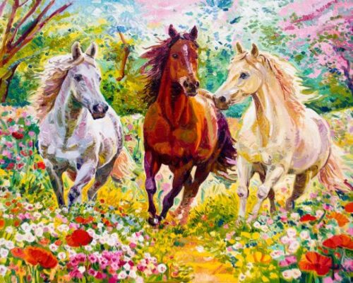 Spazio Aperto Salento