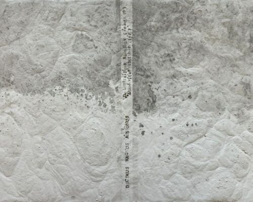 Spazio Aperto Salento