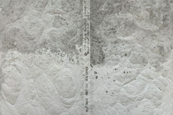 Spazio Aperto Salento