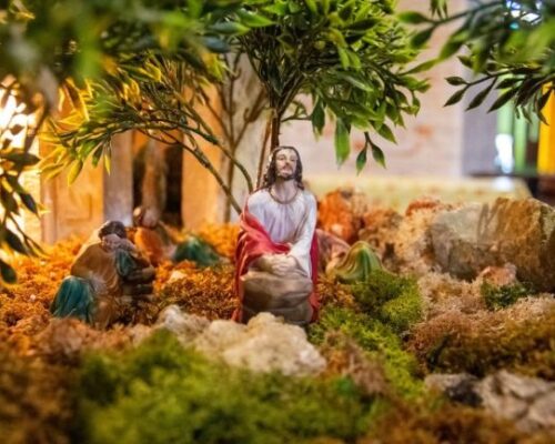 Spazio Aperto Salento