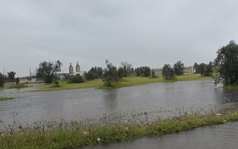 Spazio Aperto Salento