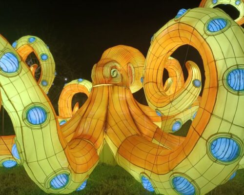 Spazio Aperto Salento