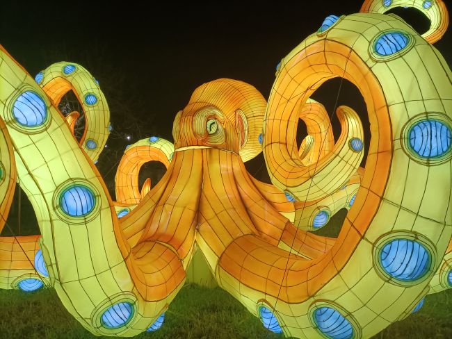 Spazio Aperto Salento