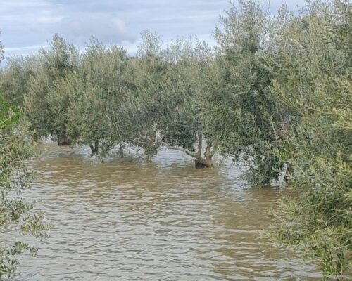 Spazio Aperto Salento