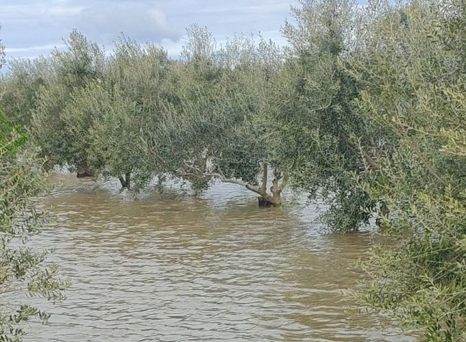 Spazio Aperto Salento