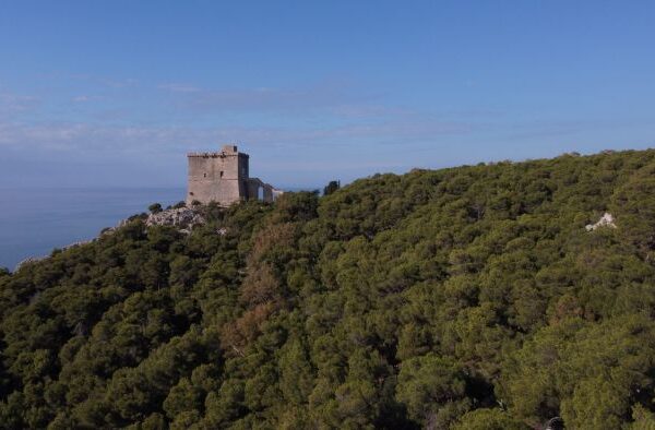 Spazio Aperto Salento