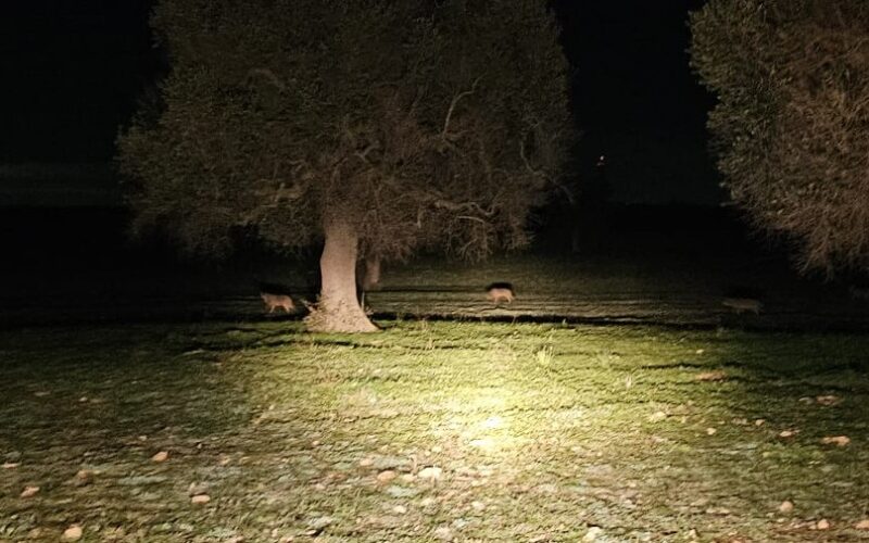 Spazio Aperto Salento