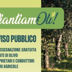 rid. locandina PiantiamOli! 2026
